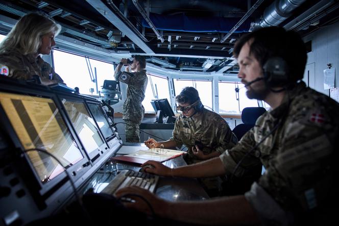 Des soldats danois participent à des exercices militaires menés dans le <a class=