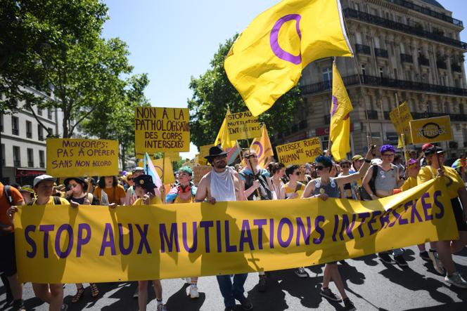 Lors de la marche des fiertés, à Paris, le 29 juin 2019.