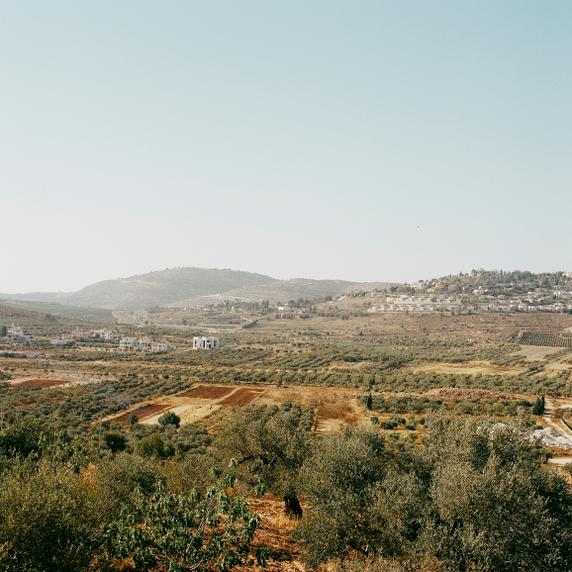 Une partie du village palestinien de Turmus Ayya. A gauche, les dernières maisons des habitants font face à la colonie israélienne de Shilo, dont une partie a été construite sur les terres mêmes du village. Toutes les photos ont été prises le 22 juillet 2025.