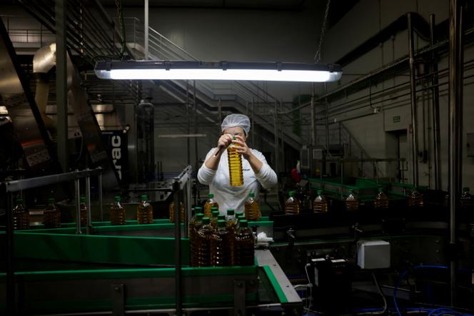 Une chaîne de conditionnement d’huile d’olive, à Antequera (Espagne), le 9 avril 2025. 