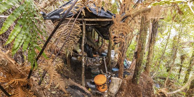 Près de quatre ans dans les bois avec ses trois enfants : la longue cavale d’un père de famille intrigue la Nouvelle-Zélande