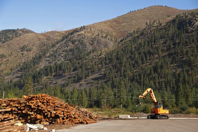 Des piles de bois coupé  prêtes à être transformé, dans le parc industriel de Bonner (Montana, Etats-Unis), le 20 septembre 2019.