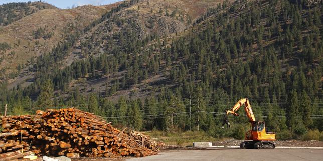 La loi contre la déforestation de nouveau reportée, symptôme du recul des ambitions européennes en matière d’écologie