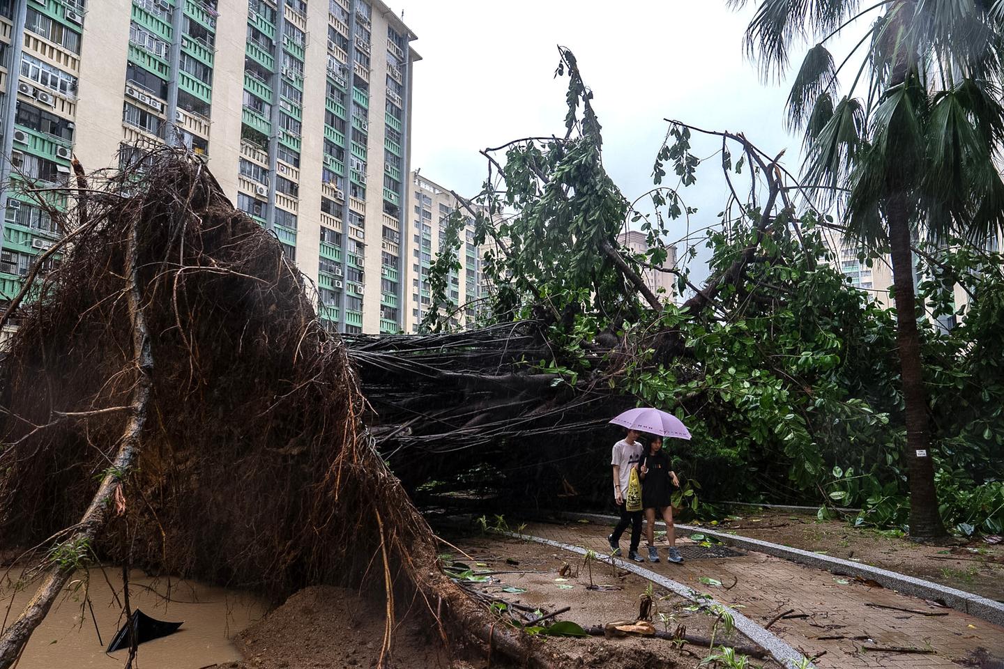 Typhoon Ragasa slams southern China after deadly sweep through region