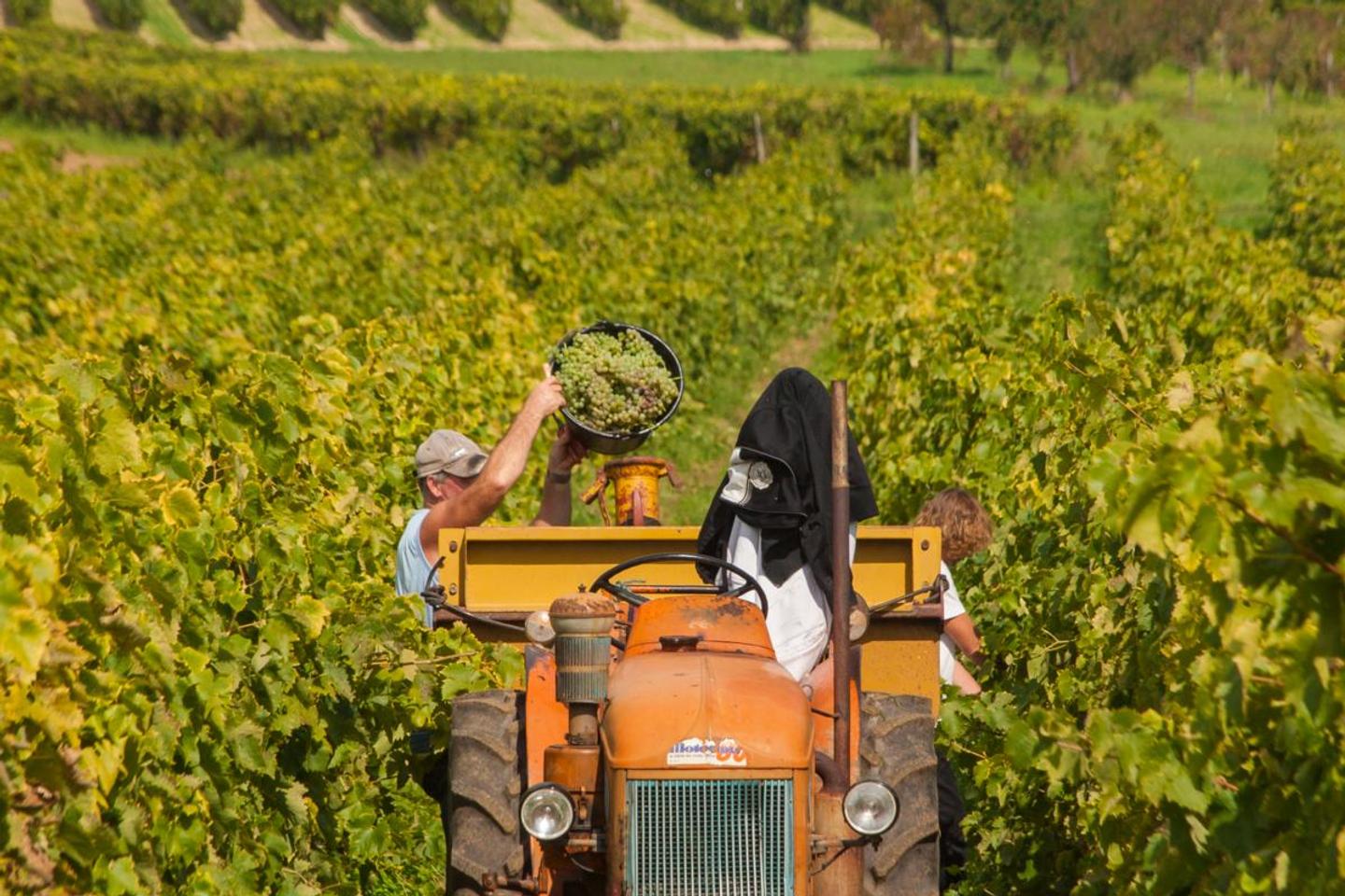 La Spirits Valley, une source nouvelle pour le « made in Charente »