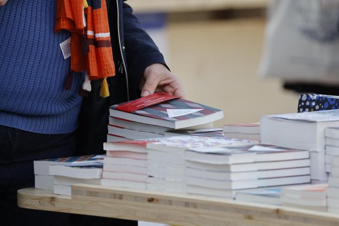 Lors du Festival du livre de Paris, au Grand Palais, le 11 avril 2025.