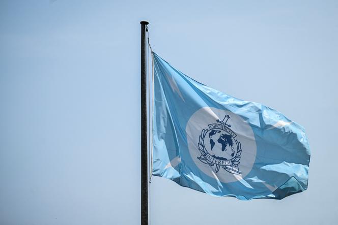 Un drapeau de l’Organisation internationale de police criminelle, communément appelée Interpol, au siège de l’organisation, à Lyon, le 9 juin 2025.