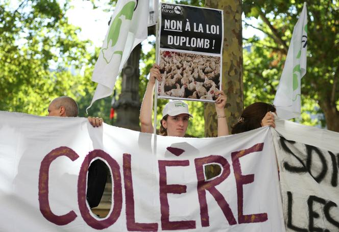 Une manifestante attendant une décision sur la loi Duplomb brandit une pancarte devant le Conseil constitutionnel à Paris, le 7 août 2025.