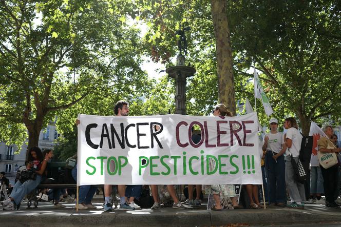 Manifestation avant la décision du Conseil constitutionnel sur la loi Duplomb, à Paris, le 7 août 2025. 