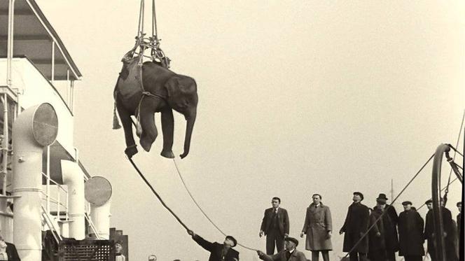 Image extraite du documentaire « Soundtrack to a Coup d’Etat » de Johan Grimonprez.
