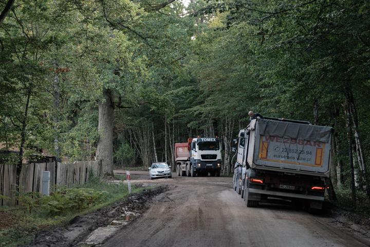 Des camions circulent sur les routes forestières de Bialowieza, probablement en lien avec la construction d’une route asphaltée le long du mur frontalier entre la Pologne et la Biélorussie, le 18 septembre 2025.