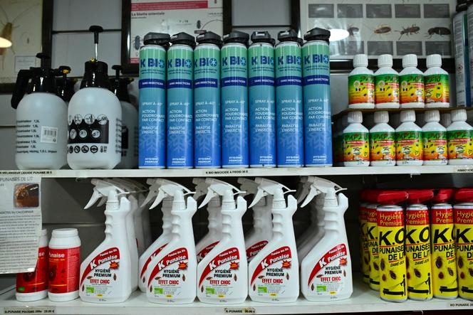 Le rayon « insecticides » d’un magasin parisien, en octobre 2023.
