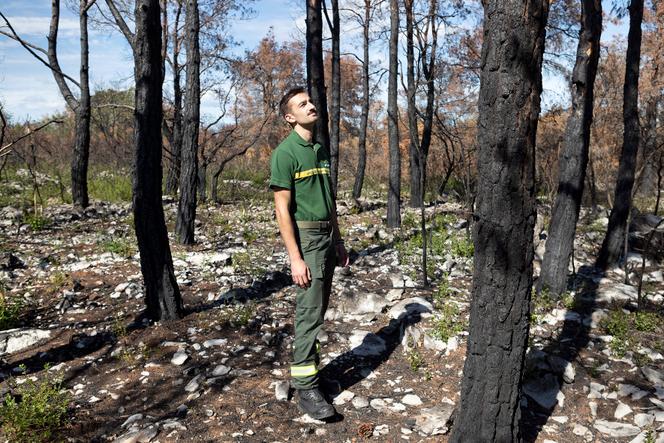 Un agent de la défense de la forêt contre les incendies fait un point sur les mesures mises en place, dans le massif de la Gardiole, partiellement brûlé en juillet, à Frontignan (Hérault), le 30 septembre 2025.