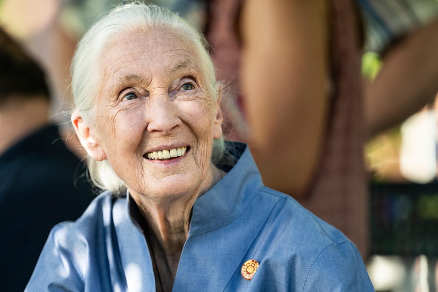Jane Goodall, crusader for chimpanzees and the planet, dies at 91