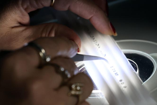 Des diamants analysés chez la société iTraceiT, à Anvers (Belgique), le 21 novembre 2023.