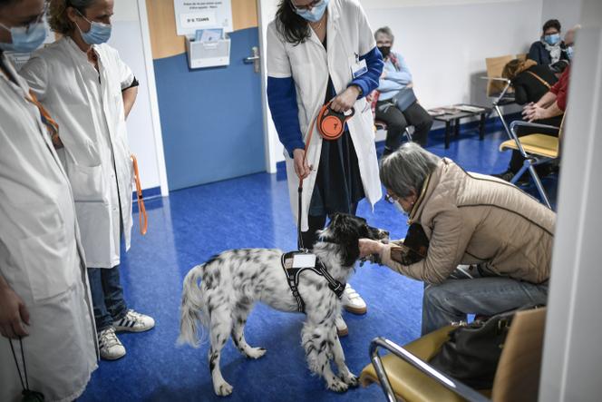 Le chien de médiation Snoopy interagit avec une patiente dans le cadre du projet M-Kdog (Mediation-Cancer-Dog), dans une salle d’attente de l’Institut Curie, à Paris, le 20 mars 2023.