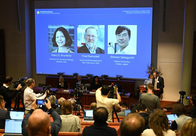 Les Américains Mary E. Brunkow et Fred Ramsdell et le Japonais Shimon Sakaguchi ont remporté le prix Nobel de médecine pour leurs recherches sur le contrôle du système immunitaire, a annoncé le comité Nobel, le 6 octobre 2025 à l’institut Karolinska, à Stockholm. 