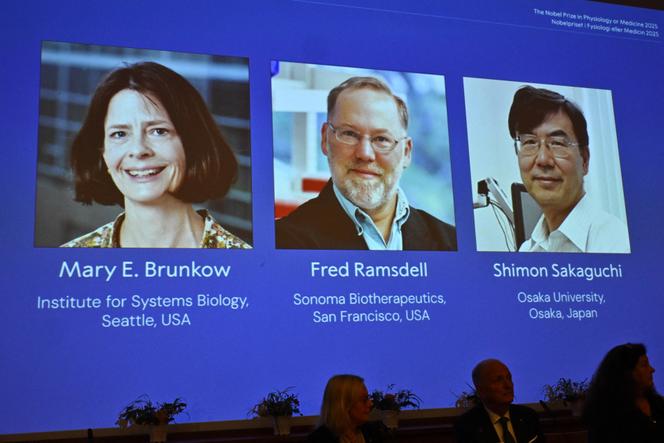 Les Américains Mary E. Brunkow, Fred Ramsdell et le Japonais Shimon Sakaguchi récompensés du Prix Nobel de médecine, lundi 6 octobre. 