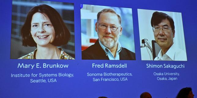 Le prix Nobel de médecine décerné aux chercheurs américains Mary E. Brunkow, Fred Ramsdell et japonais Shimon Sakaguchi pour leurs recherches sur le contrôle du système immunitaire