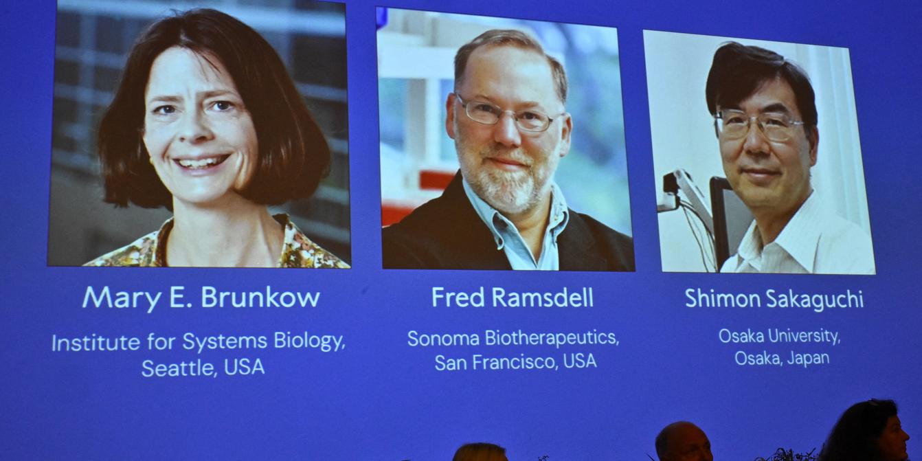 Nobel Prize in Medicine celebrates immune system research