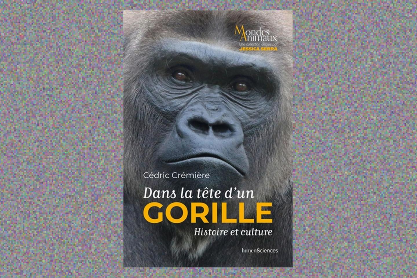 Les brèves critiques du « Monde des livres » : Leena Krohn, Joyce Maynard, Laurent Wirth…