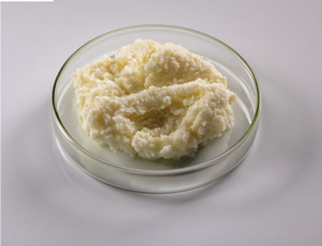 Un « mascarpone » à base de lait de chèvre a été développé en utilisant des fourmis déshydratées pour catalyser la coagulation du lait. 