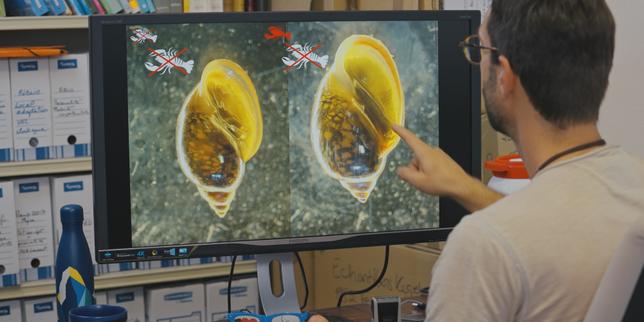 A regarder ce soir : « Darwin express. Les nouveaux défis de l’évolution » sur Arte