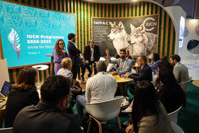 Lors du congrès mondial de l’Union internationale pour la conservation de la nature (UICN) à Abou Dhabi, le 9 octobre 2025.