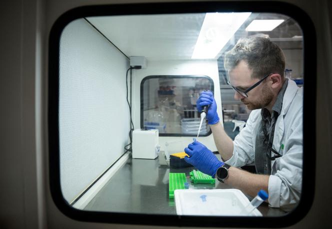 Dans un laboratoire de Phytoform Labs, une entreprise spécialisée dans l’édition génétique pour l’agriculture, à Harpenden, au nord de Londres, le 26 juin 2025.