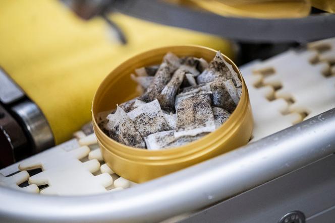 Détail de la chaîne de production de « snus » en portions, dans l’usine Swedish Match de Göteborg, en Suède, le 17 octobre 2023.