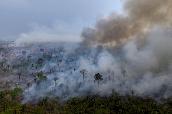 Un incendie volontaire dans la forêt amazonienne, près de la route BR-230 aux environs de Labrea, dans l’Etat d’Amazonas (Brésil), le 4 septembre 2024.