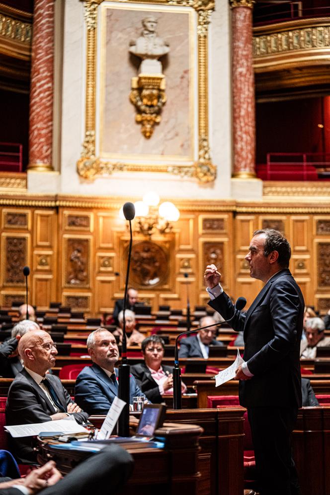 Le premier ministre, Sébastien Lecornu, lors de sa déclaration de politique générale, au Sénat, à Paris, le 15 octobre 2025.