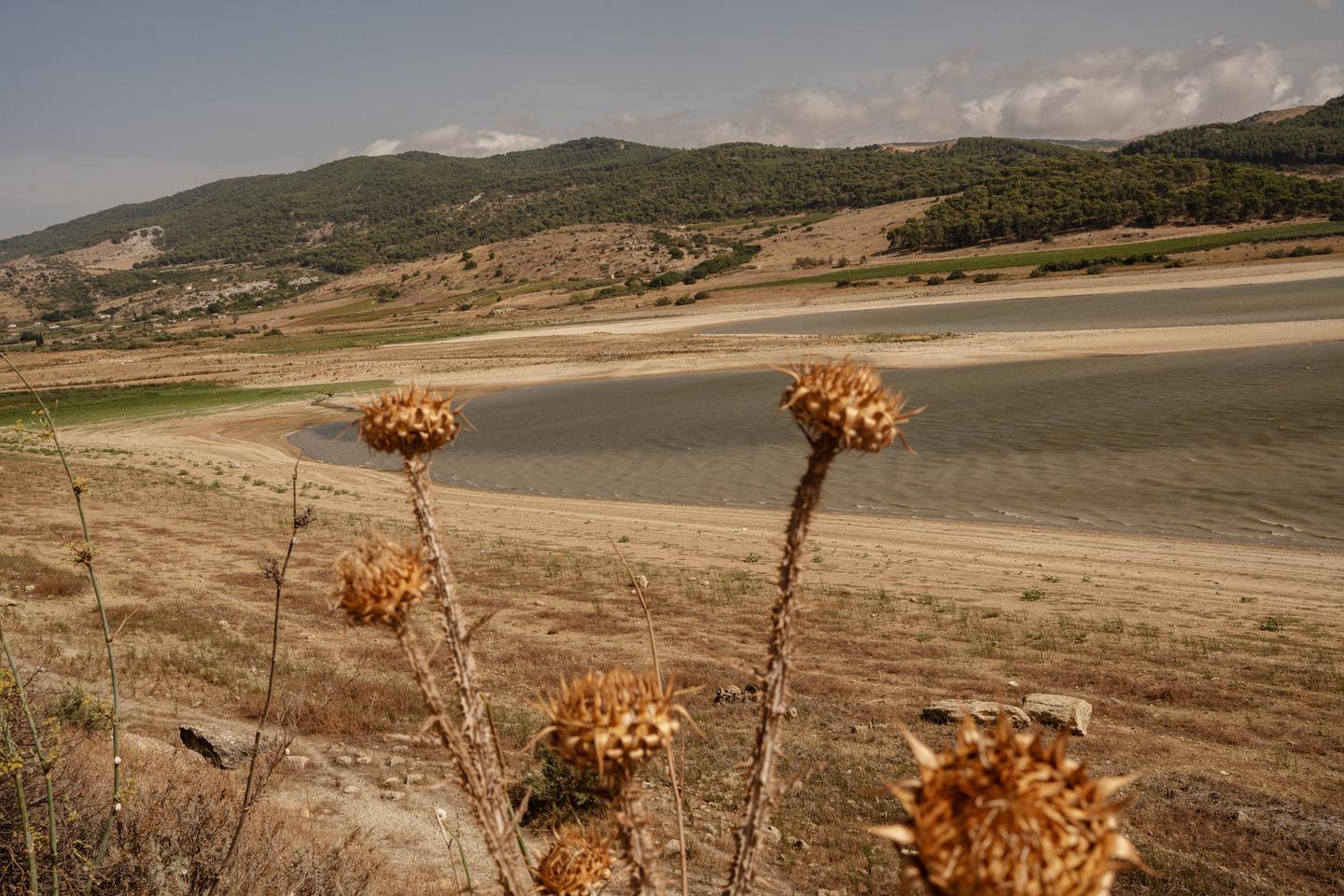 Â«Â Bienvenue dans le prochain dÃ©sert en EuropeÂ Â»Â : la Sicile assaillie par les...