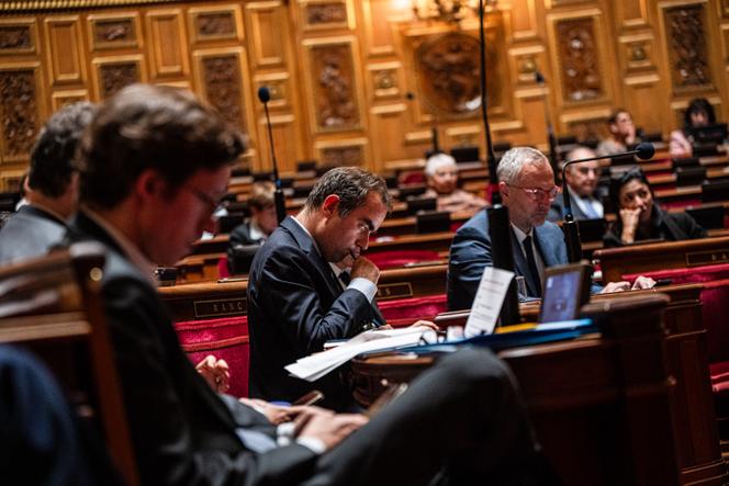 Le premier ministre, Sébastien Lecornu, lors de sa déclaration de politique générale au Sénat, à Paris, le 15 octobre 2025.