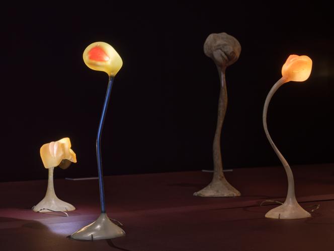 Vue de l’exposition « Langage du corps », d’Alina Szapocznikow, au Musée de Grenoble, en octobre 2025.