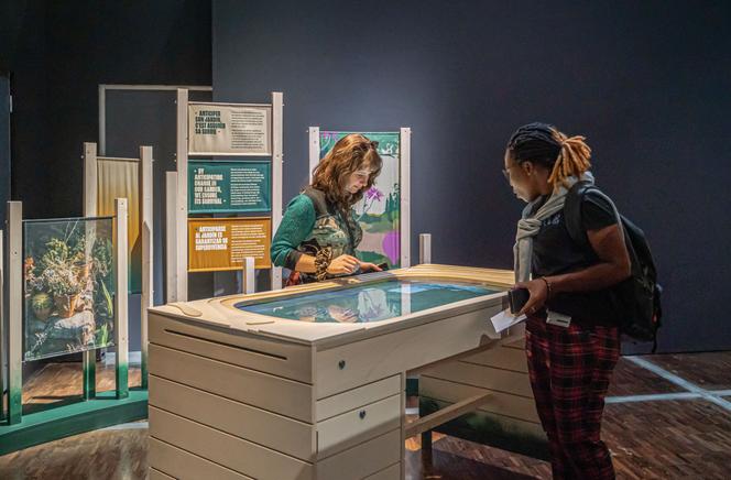 Vue de l’exposition « Jardiner », à la Cité des sciences et de l’industrie, à Paris, le 13 octobre 2025.