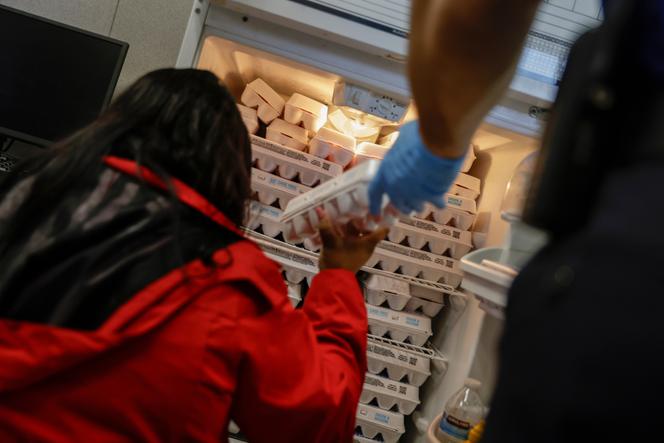 Des cartons d’œufs livrés par la banque alimentaire communautaire du comté d’Alameda à l’aéroport international d’Oakland (Californie), le 16 octobre 2025.