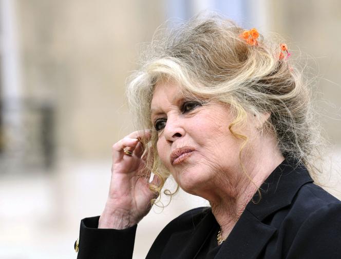 Brigitte Bardot à l’Elysée lors d’une rencontre avec le président français de l’époque, Nicolas Sarkozy, à Paris, le 27 septembre 2007.