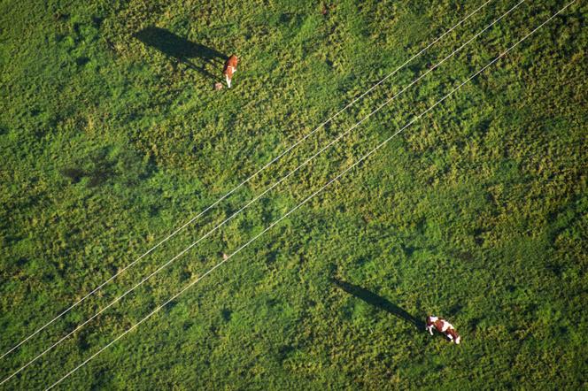 Pâturage jurassien, en octobre 2014.