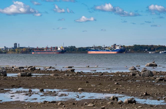 Des cargos sur le rivage de la banlieue montréalaise de Boucherville, sur les rives sud du fleuve Saint-Laurent, au Canada, le 8 octobre 2025.