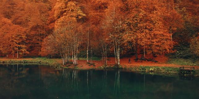 « Voir l’automne, une saison en France » : trois mois à vivre passionnément