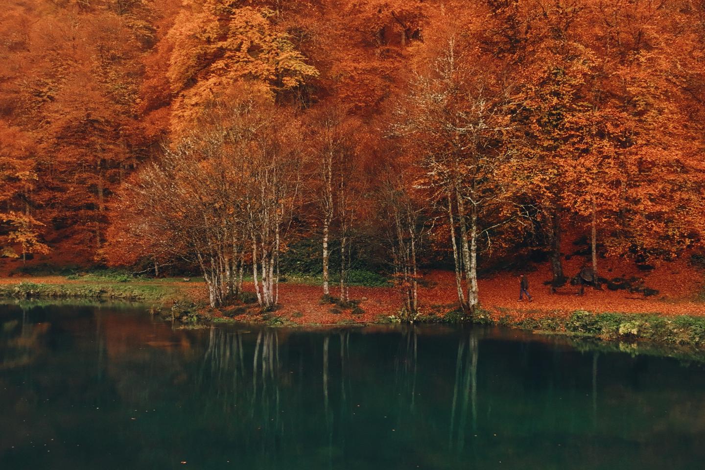 Â«Â Voir lâ€™automne, une saison en FranceÂ Â»Â : trois mois Ã  vivre...