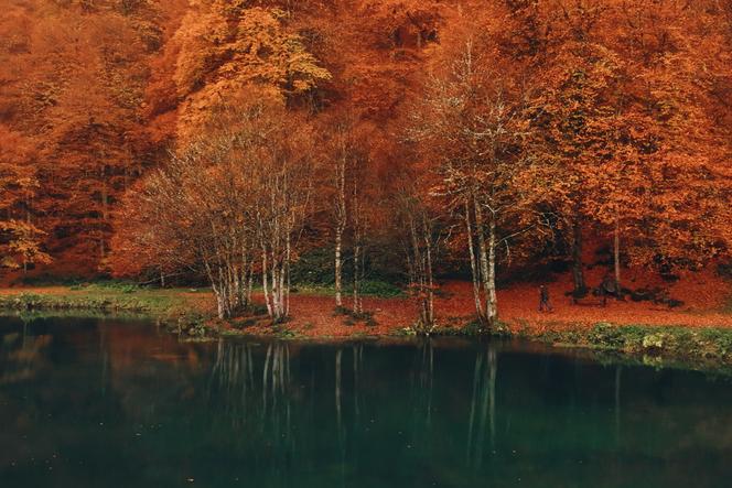 Image extraite du documentaire « Voir l’automne, une saison en France », de Rémi Dupouy et Jérémy Frey.