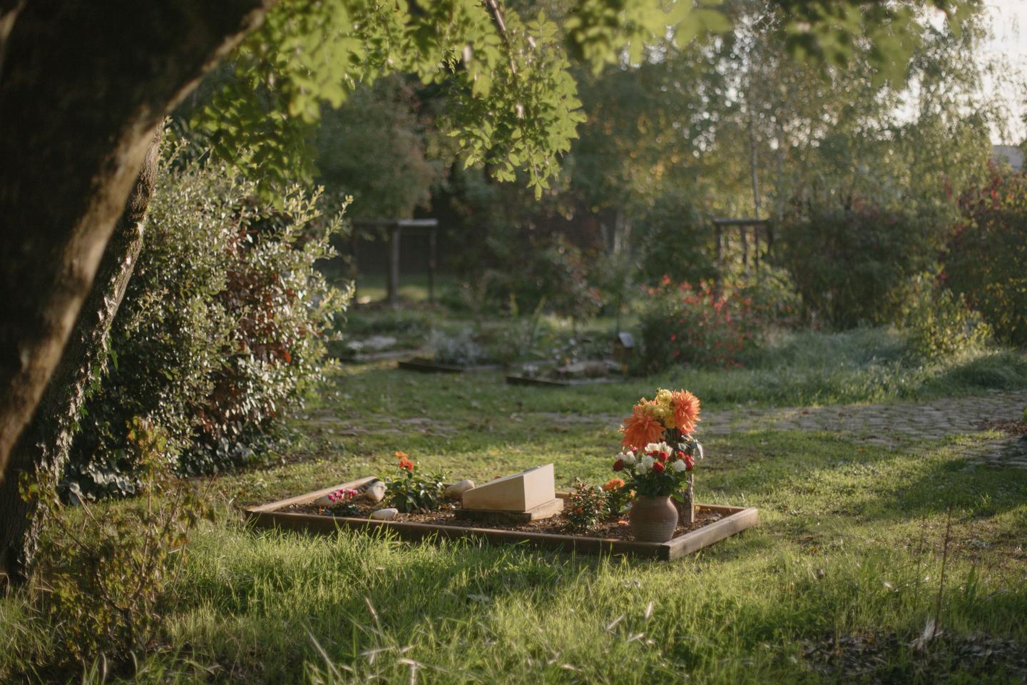 Le monde funéraire opère sa transition écologique : « On sort du combat fictif contre la mort mené dans les cimetières traditionnels »