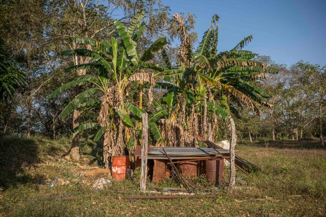 Barils de carburant abandonnés, dans le parc national de Laguna del Tigre, au Guatemala, le 5 mars 2020.
