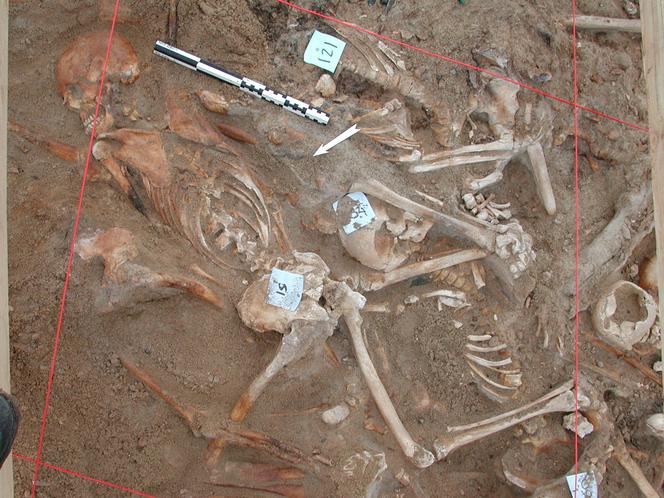 Découverte d’un charnier contenant les restes de soldats napoléoniens, à Vilnius, le 4 avril 2002.
