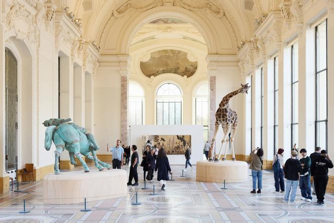 « The Elephant in the Room » (2023), installation de Julius von Bismarck au Petit Palais. Avec l’aimable autorisation d’Art Basel et des galeries Sies + Höke et The Ranch.