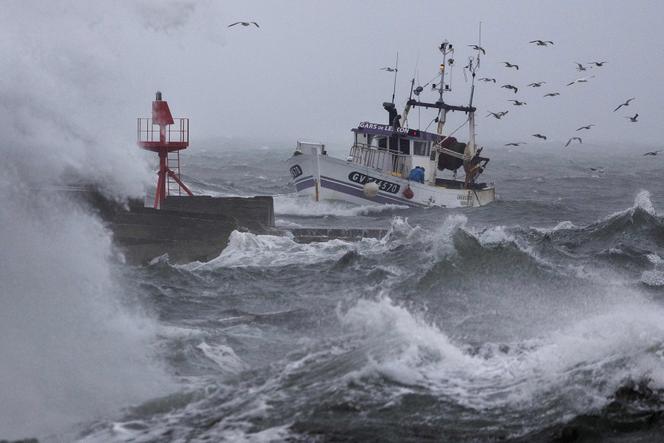 Un bateau de pêche entre au port de Plobannalec-Lesconil, dans le Finistère, le 22 octobre 2025.