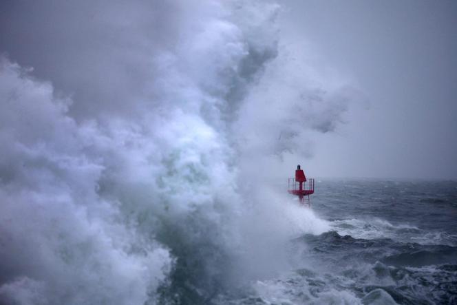 Le port de Plobannalec-Lesconil, dans le Finistère, le 22 octobre 2025.
