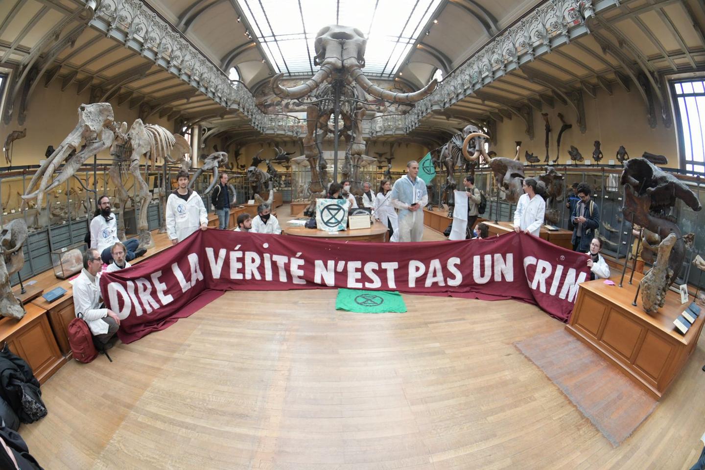 Six mois de prison ferme pour un jet de peinture, une peine rÃ©vÃ©latrice du durcissement de la...